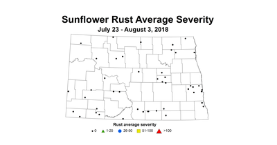 rust severity