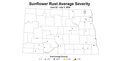 rust severity