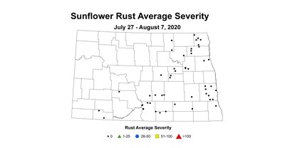 rust Severity