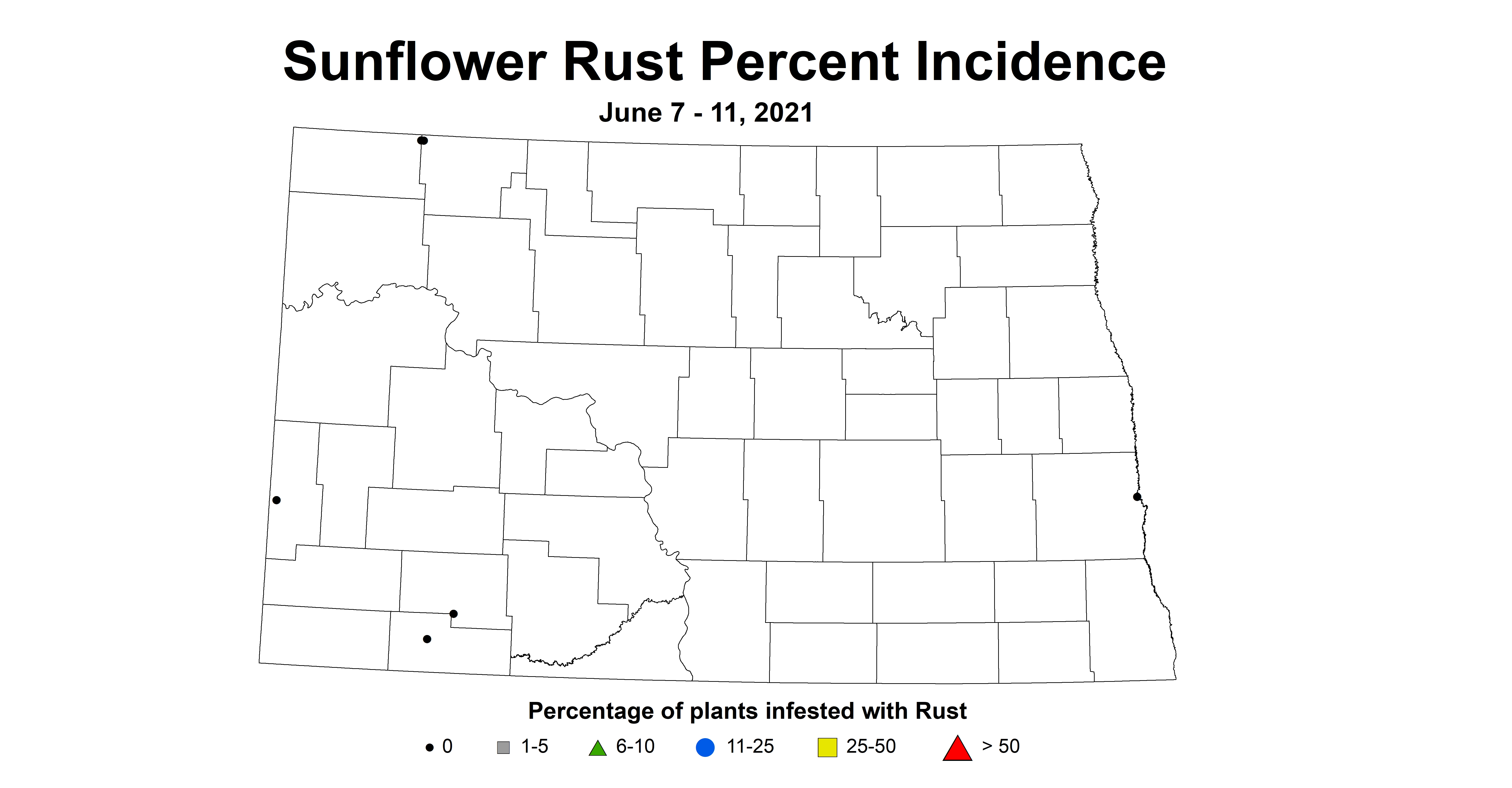 sunflowerRustIncidence6.7 6.11