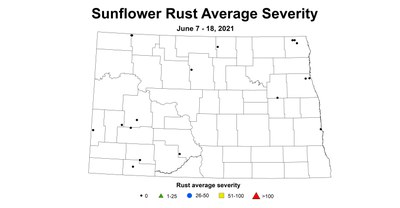 sunflowerRustSeverity 6.7 6.18