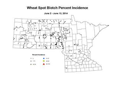 6 2 6 13 Wheat SB Inc