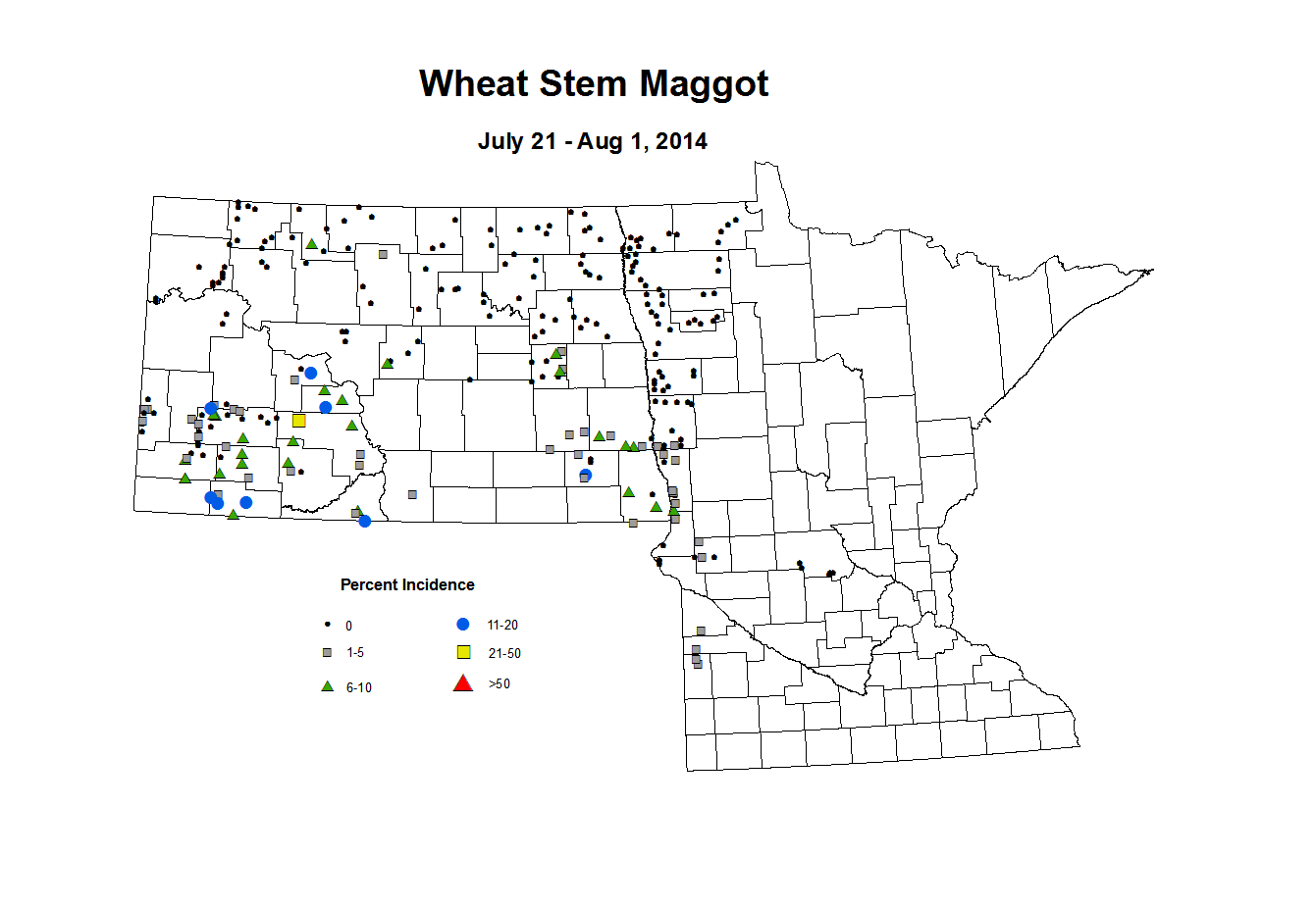 7 21 8 1 Wheat WS Maggot