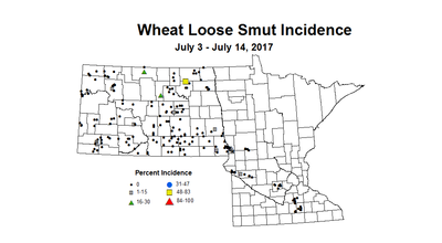 wheat LSI 7 3 7 14 2017