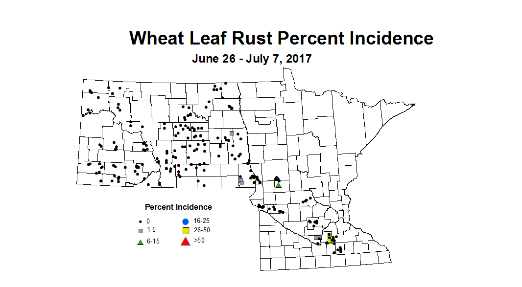 wheat LRI 6 26 7 7 2017