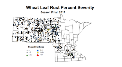 LRSV seasonWheat2017
