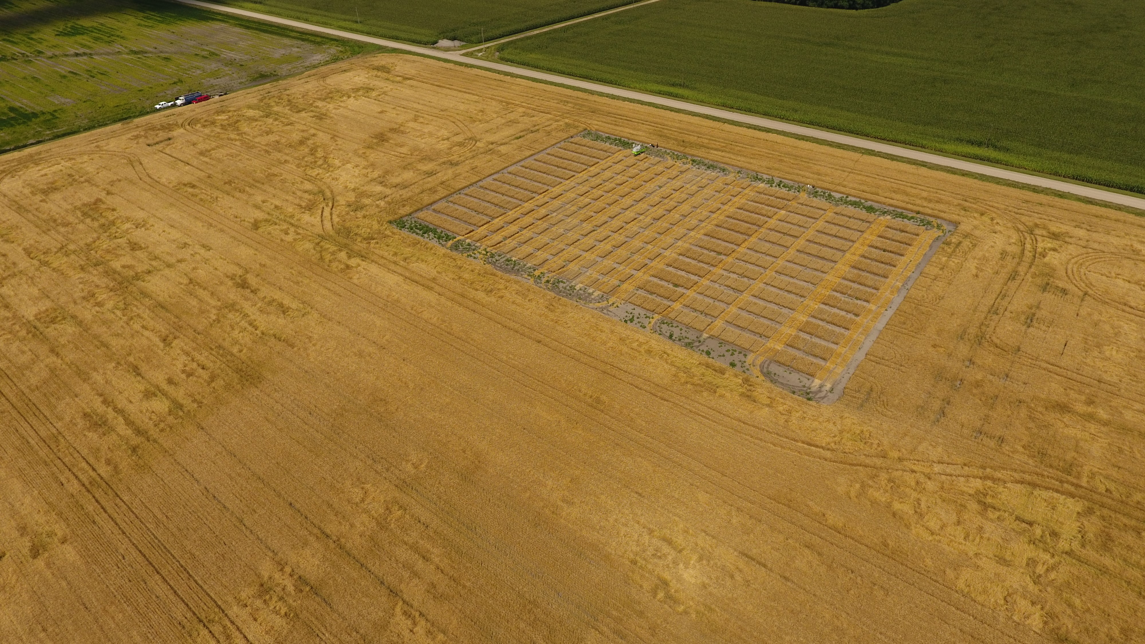 Ada wheat harvest 2017