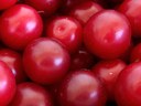 Cherry plums