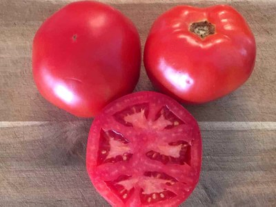 'Galahad' tomato