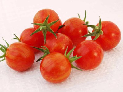 'Sparky' tomato