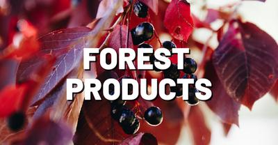 Forest Products