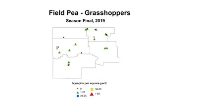 nymphGH2019seson