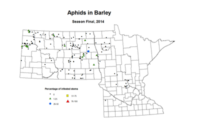 2014 Season Final Barley Aphids