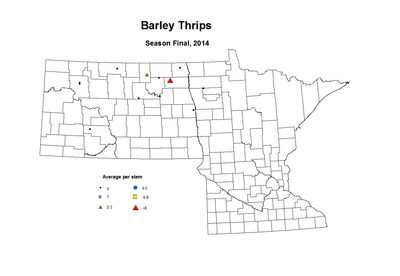2014 Season Final Barley Thrips