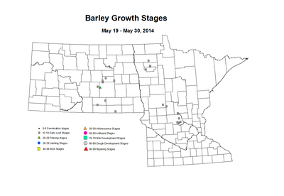 5 19 5 30 Barley GrowthStages ZGS