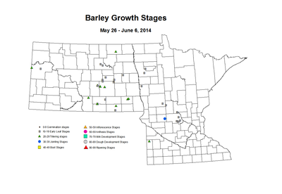 5 26 6 6 Barley GrowthStages ZGS