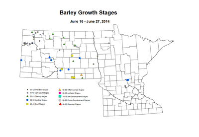 6 16 6 27 Barley GrowthStages ZGS