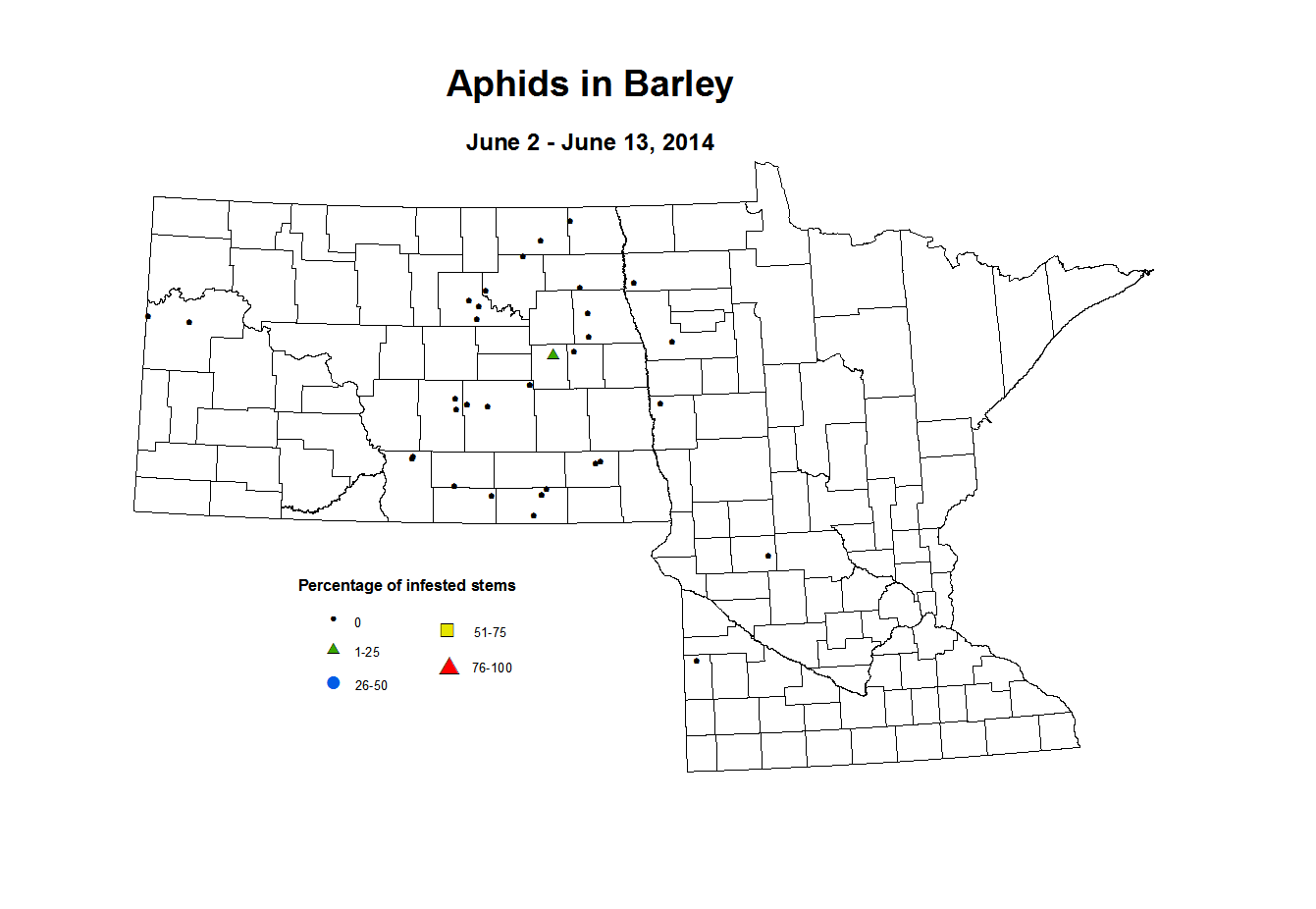 6 2 6 13 Barley Aphids