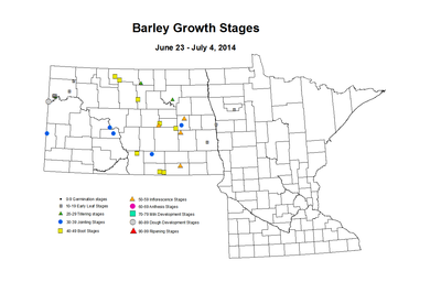 6 23 7 4 Barley GrowthStages ZGS