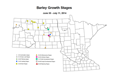 6 30 7 11 Barley GrowthStages ZGS