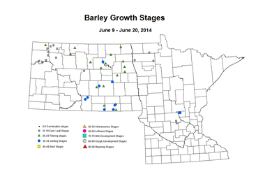 6 9 6 20 Barley GrowthStages ZGS