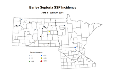 6 9 6 20 Barley SSP Inc