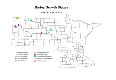 7 14 7 25 Barley GrowthStages ZGS