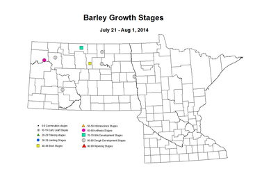 7 21 8 1 Barley GrowthStages ZGS