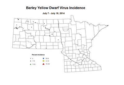 7 7 7 18 Barley BYDV Inc