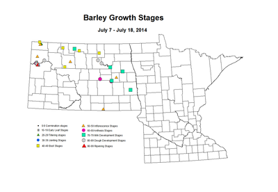 7 7 7 18 Barley GrowthStages ZGS