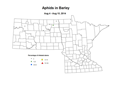 8 4 8 15 Barley Aphids