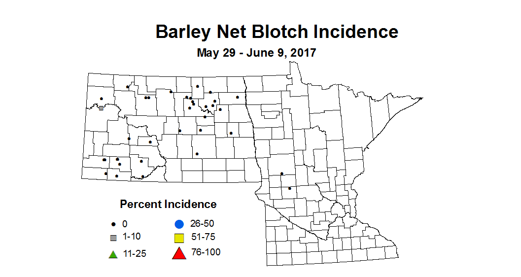 barley nbi 2017 5 29 6 9