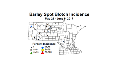barley sbi 2017 5 29 6 9
