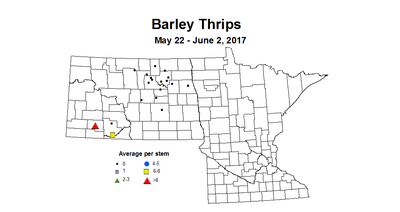 Barley Thrips average May 22 to June 2 2017