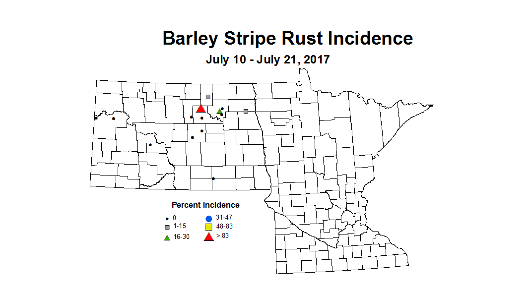 barley stripeRust 7 10 7 21 2017