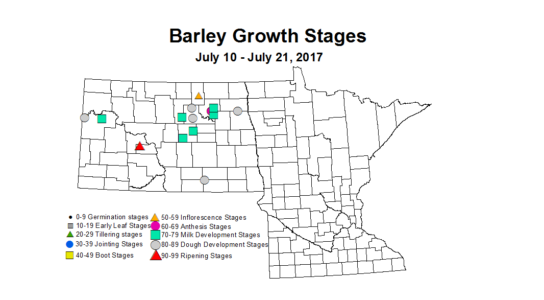barley zgs 7 10 7 21 2017