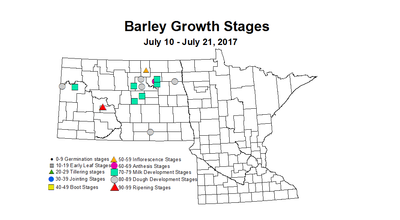 barley zgs 7 10 7 21 2017