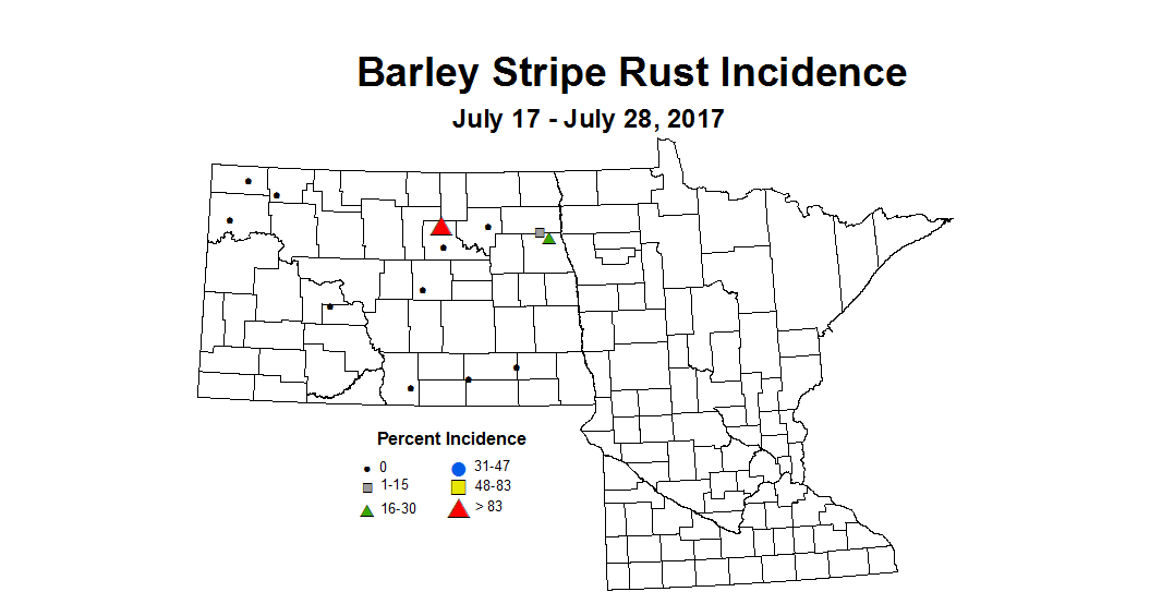 barley stripeRust 7 17 7 28 2017