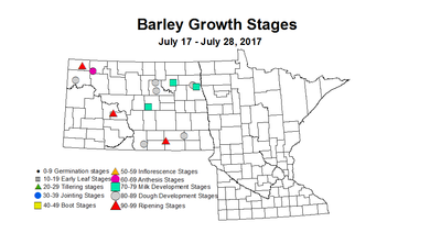 barley zgs 7 17 7 28 2017