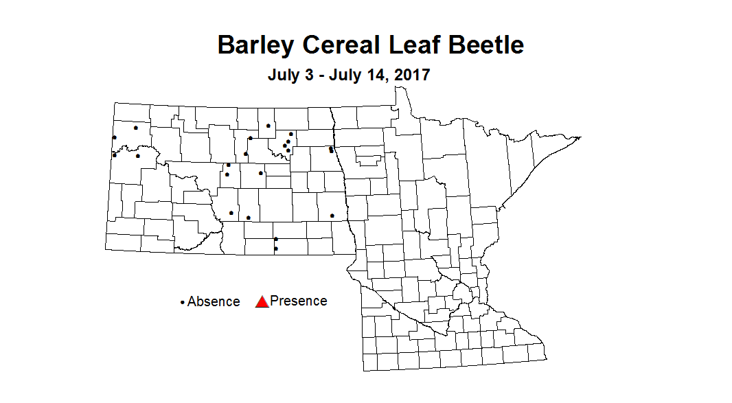 barley CLBstm 7 3 7 14 2017