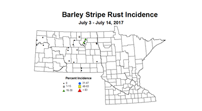 barley stripRust 7 3 7 14 2017