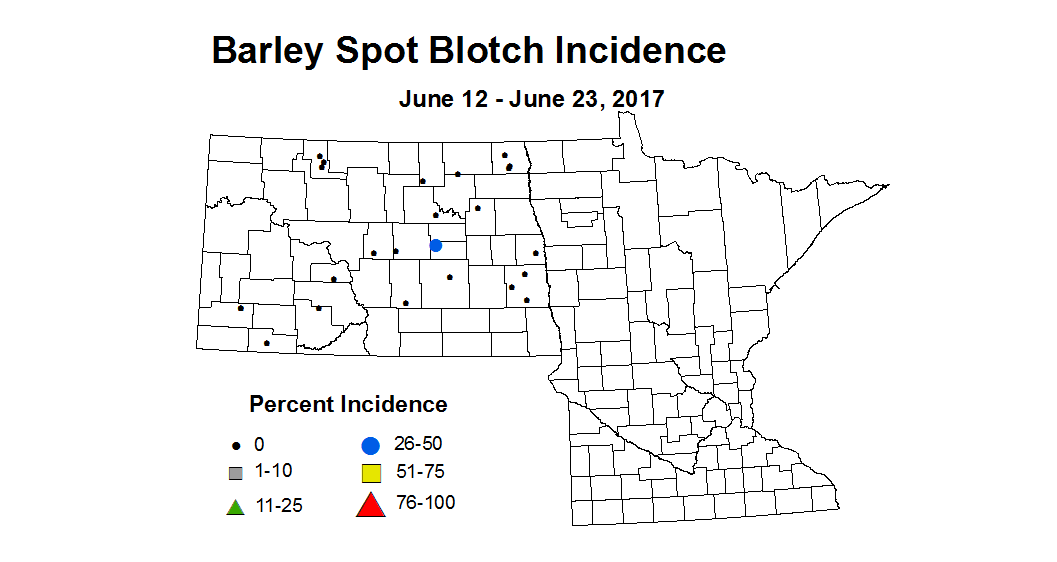 barley SBI 6 12 6 23