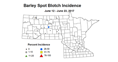 barley SBI 6 12 6 23