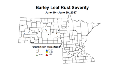 barley LRSV  6 19 6 30