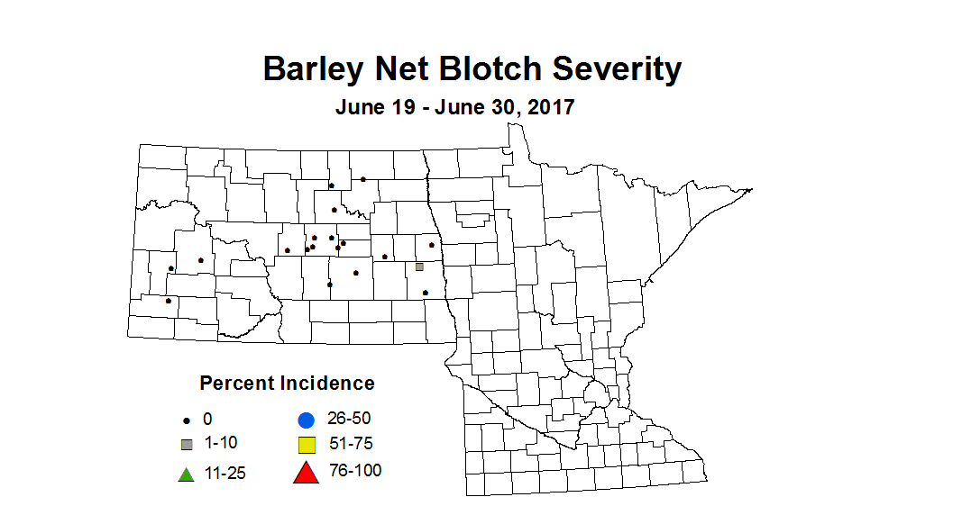 barley NBSV  6 19 6 30