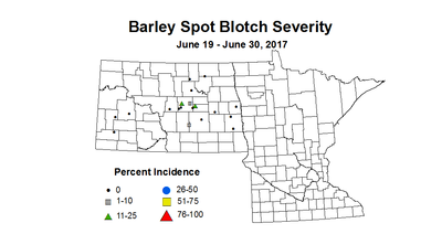 barley SBSV  6 19 6 30