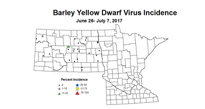 barley bydvi 2017 6 26 7 7