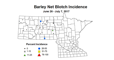 barley NBI 2017 6 26 7 7