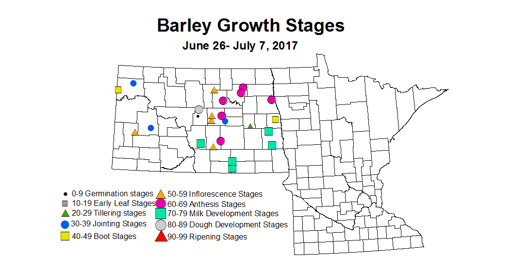 barley zgs 2017 6 26 7 7