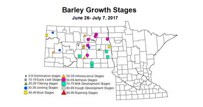 barley zgs 2017 6 26 7 7